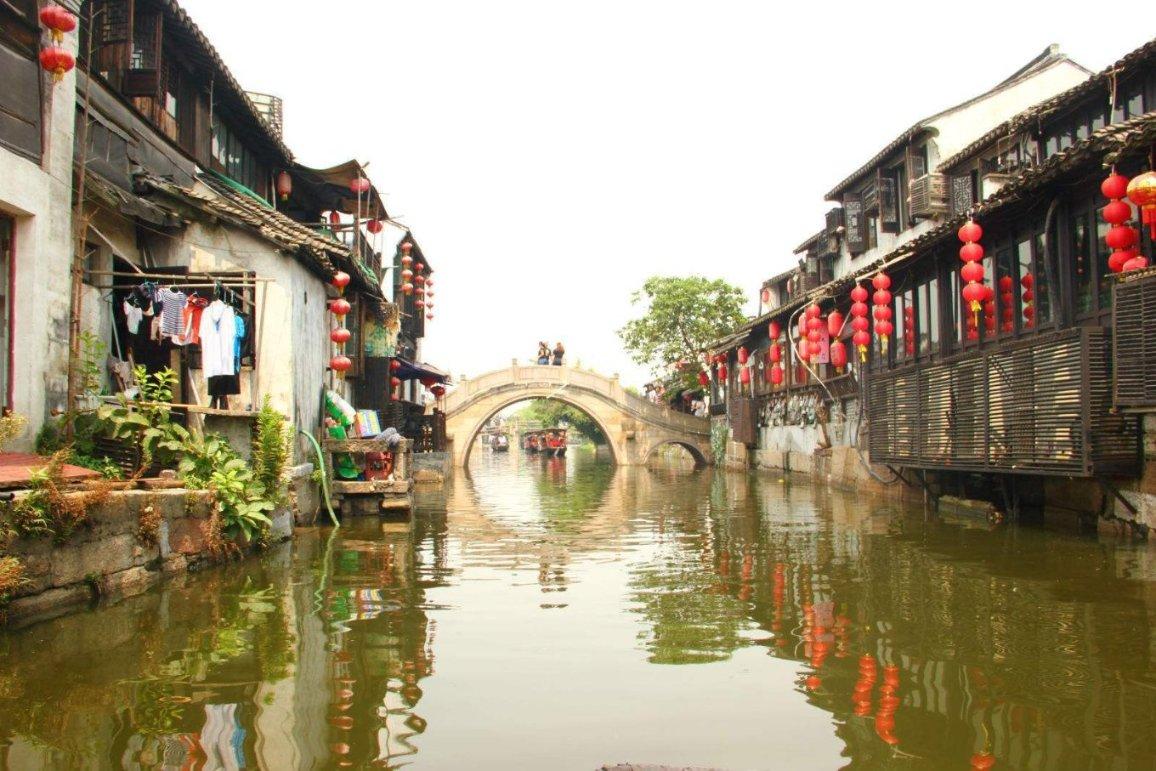 拯救小松鼠